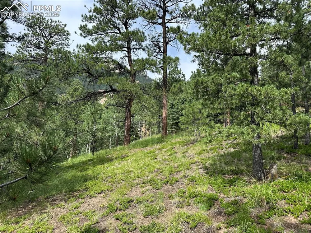 116 Happy Valley Road Manitou Springs, CO 80829