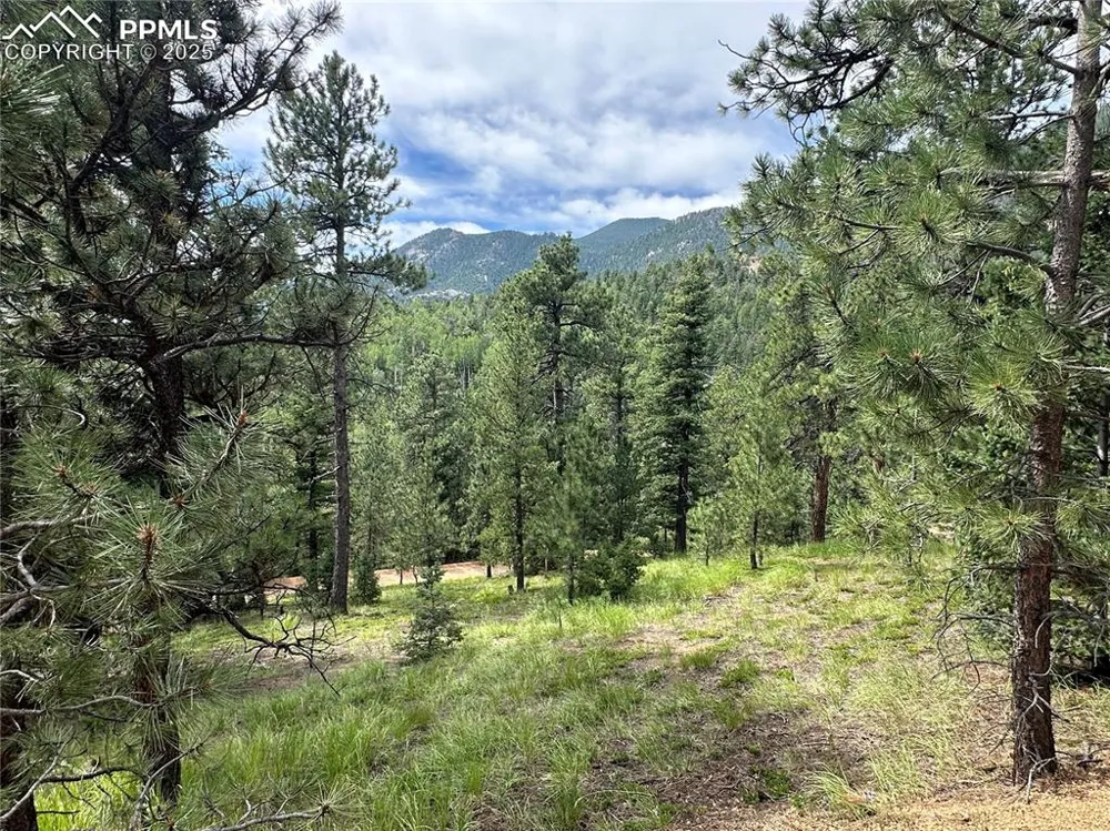 116 Happy Valley Road Manitou Springs, CO 80829