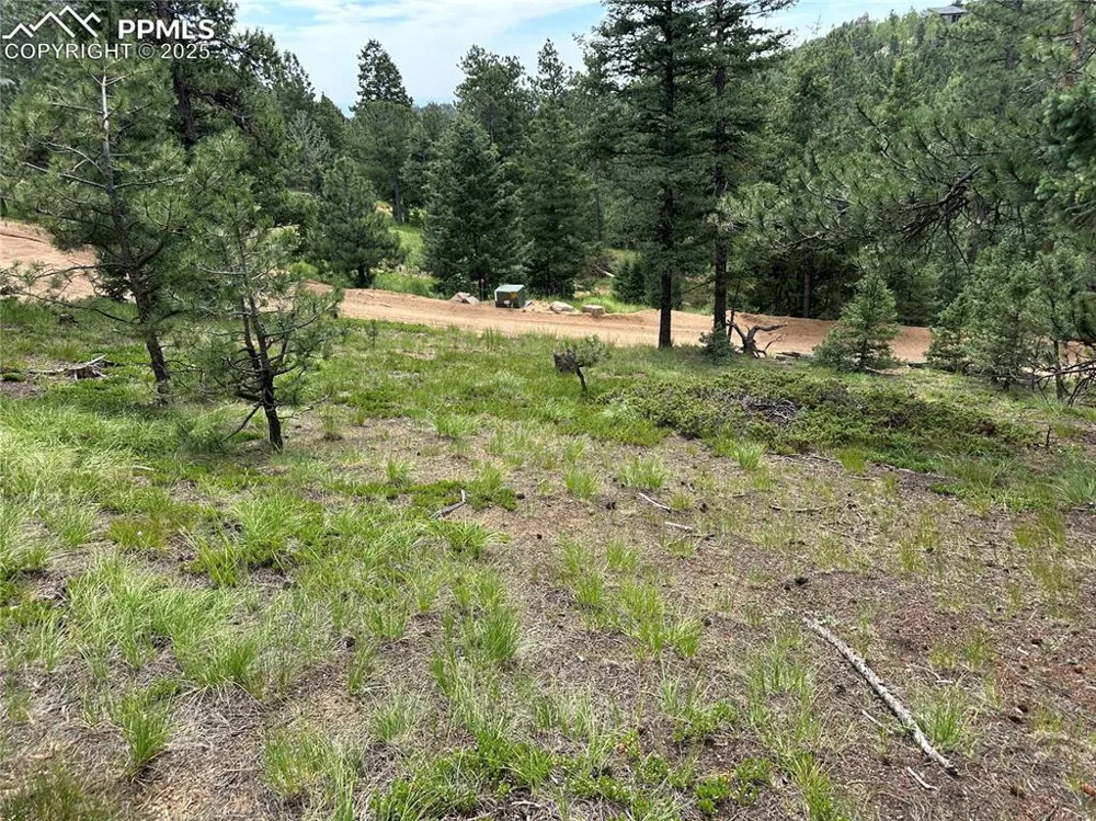 116 Happy Valley Road Manitou Springs, CO 80829