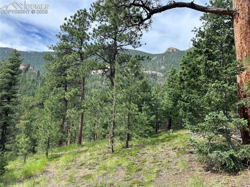116 Happy Valley Road Manitou Springs, CO 80829
