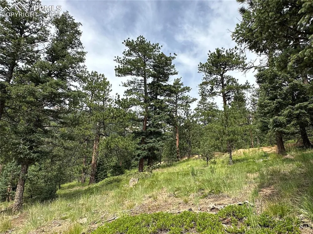 116 Happy Valley Road Manitou Springs, CO 80829