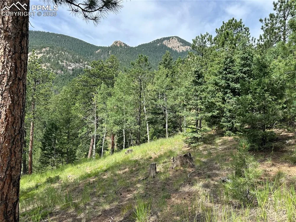 116 Happy Valley Road Manitou Springs, CO 80829