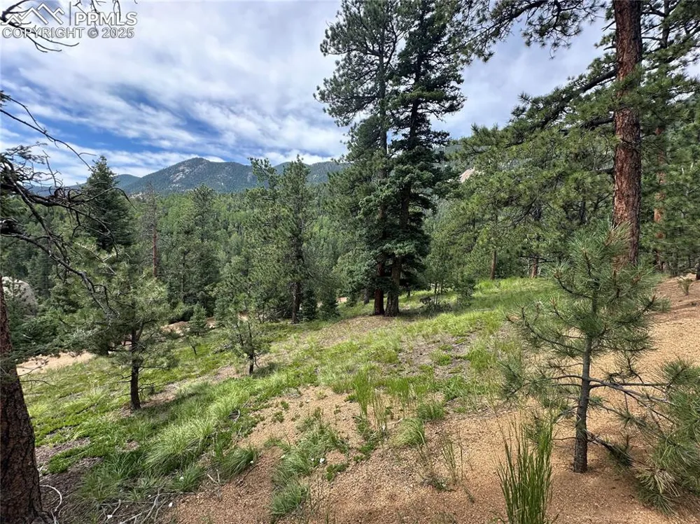 116 Happy Valley Road Manitou Springs, CO 80829