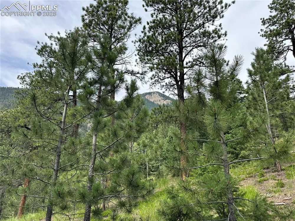 116 Happy Valley Road Manitou Springs, CO 80829