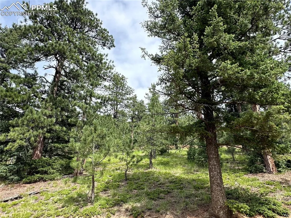 116 Happy Valley Road Manitou Springs, CO 80829