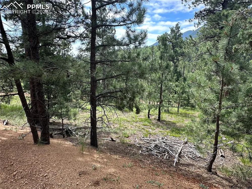 116 Happy Valley Road Manitou Springs, CO 80829