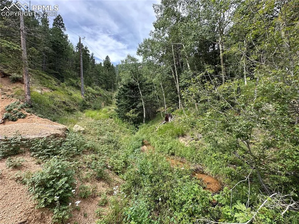 116 Happy Valley Road Manitou Springs, CO 80829