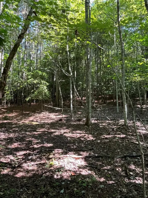 Lot 17 Hidden Branch Drive