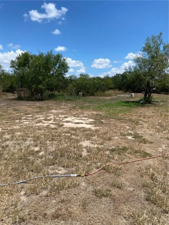 106 Lenette Drive Woodsboro, TX 78393