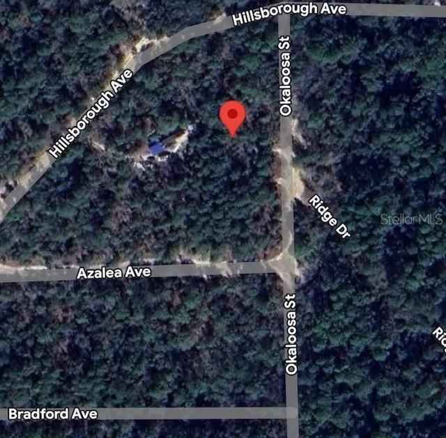 903 OKALOOSA STREET Florahome, FL 32140