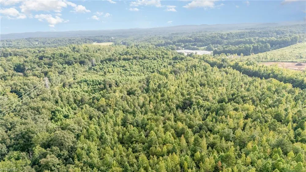 2619 S NC Highway 109 Thomasville, NC 27360