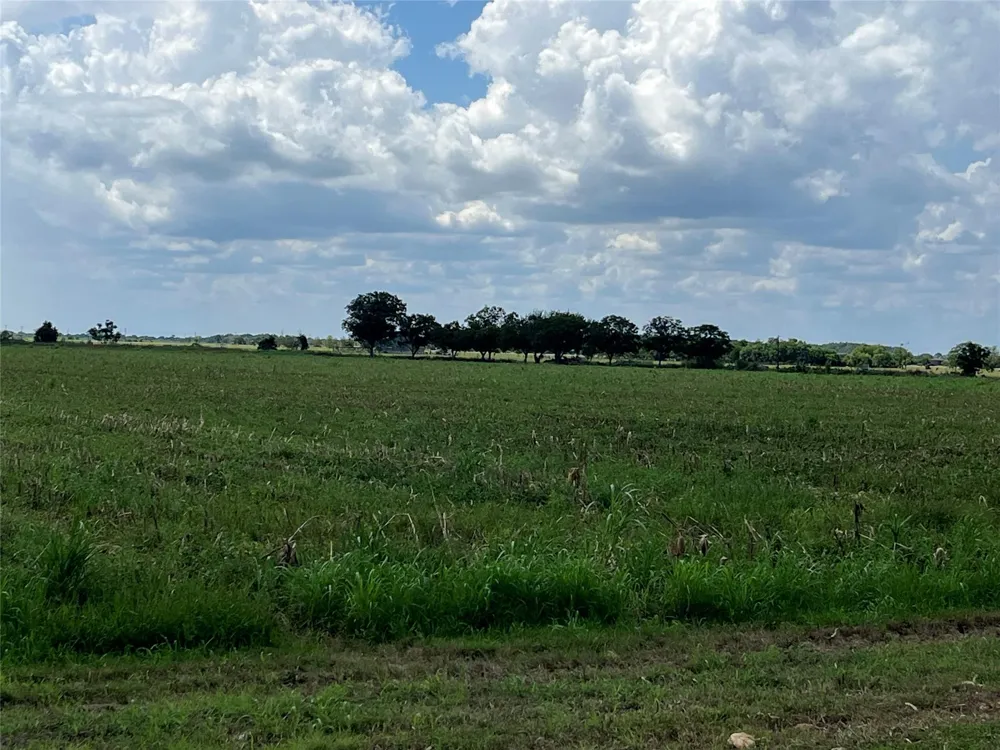 Fm-1468 Markham, TX 77456