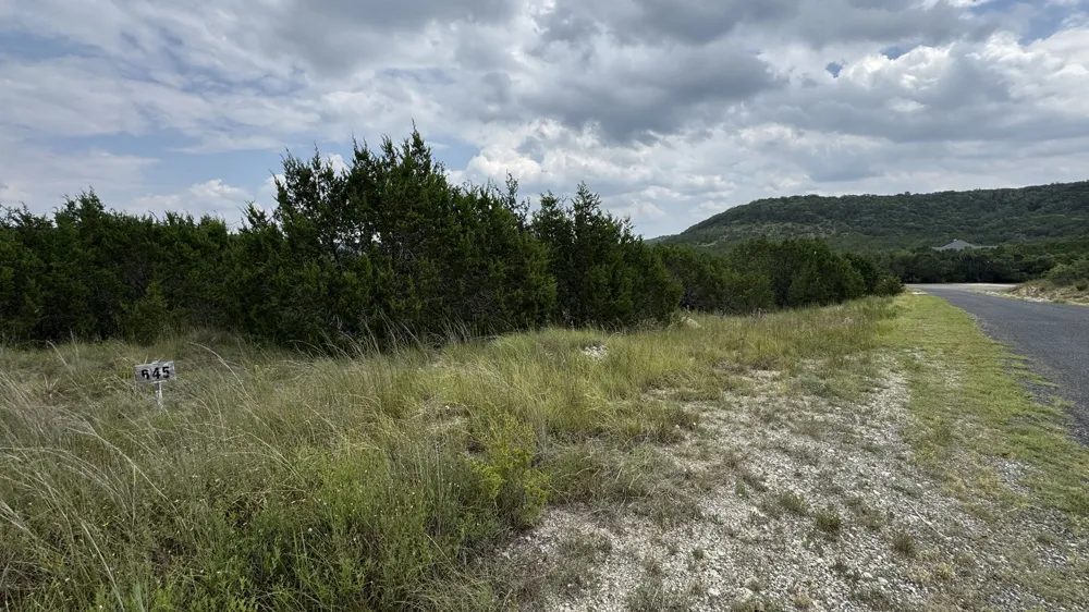 645 Wagon Wheel Trail Bertram, TX 78605