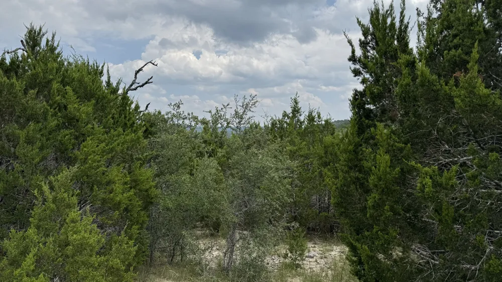645 Wagon Wheel Trail Bertram, TX 78605