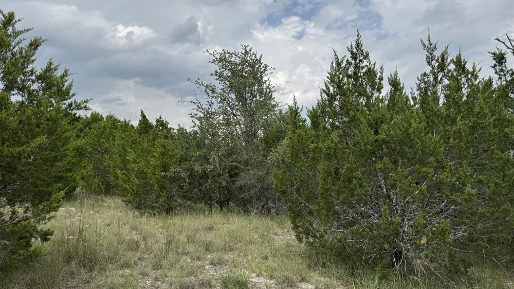 645 Wagon Wheel Trail Bertram, TX 78605