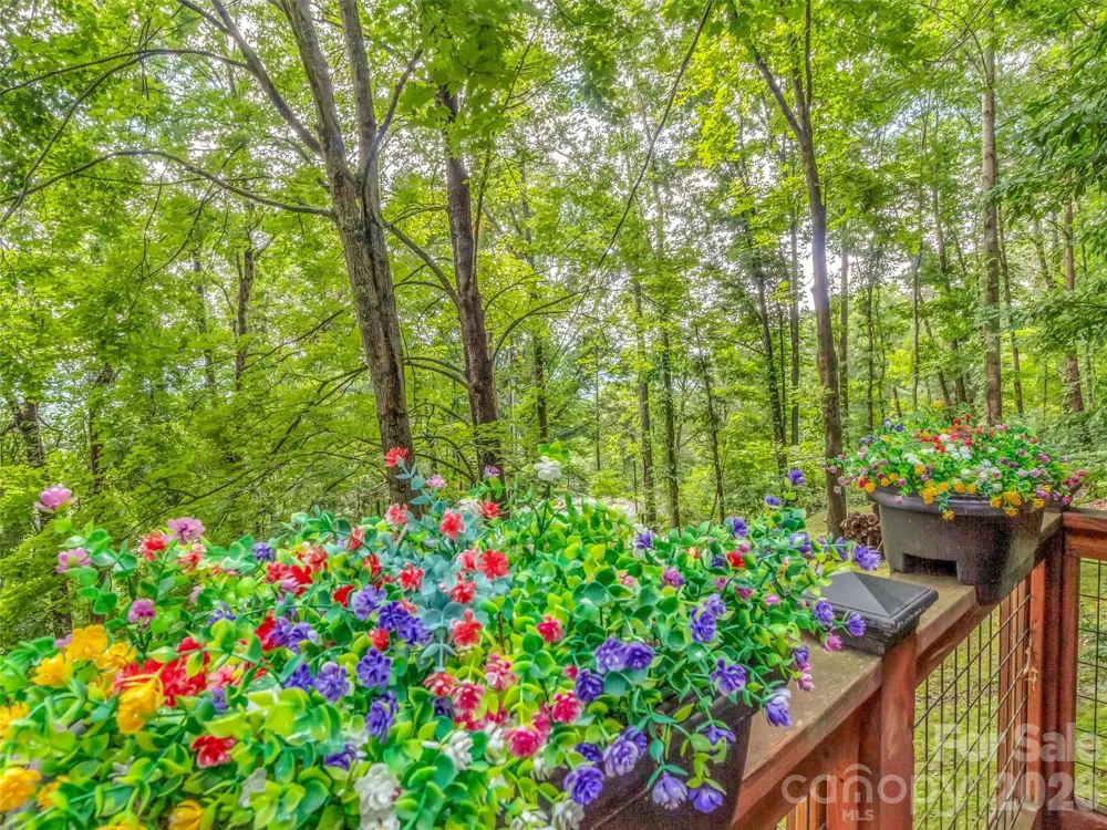 346 Wendy Way Clyde, NC 28721