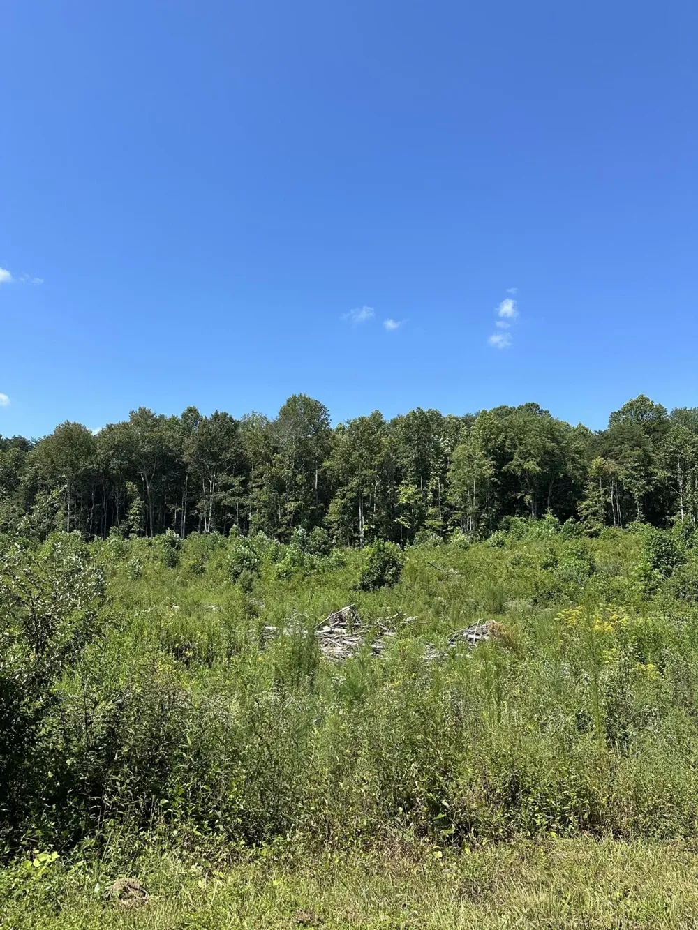 12 Dykes Hollow Road