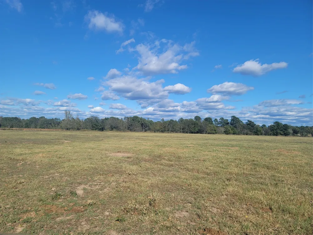 12403 FM 1975 #Parcel G Gilmer, TX 75644