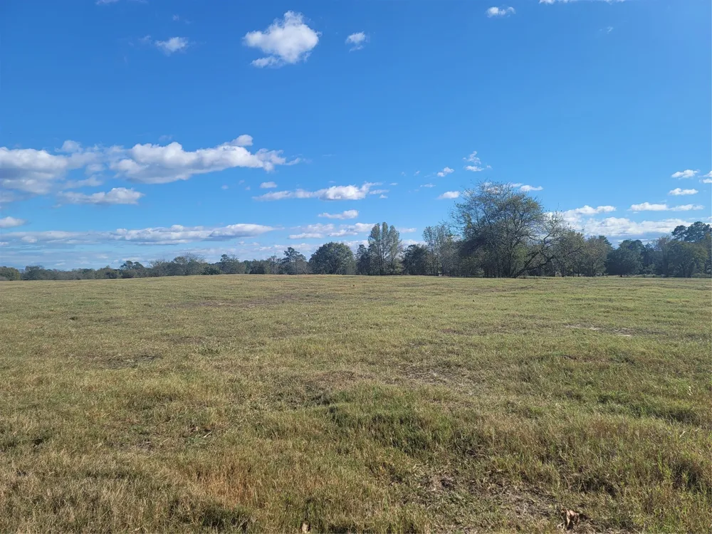 12403 FM 1975 #Parcel B Gilmer, TX 75644