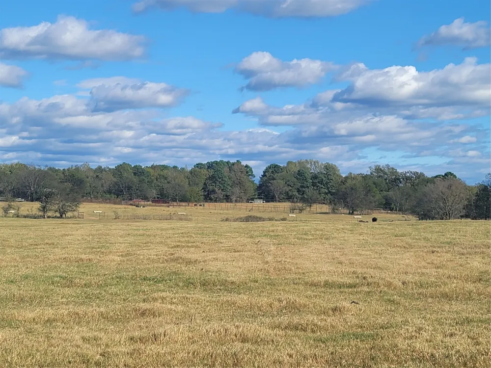 12403 FM 1975 #Parcel B Gilmer, TX 75644