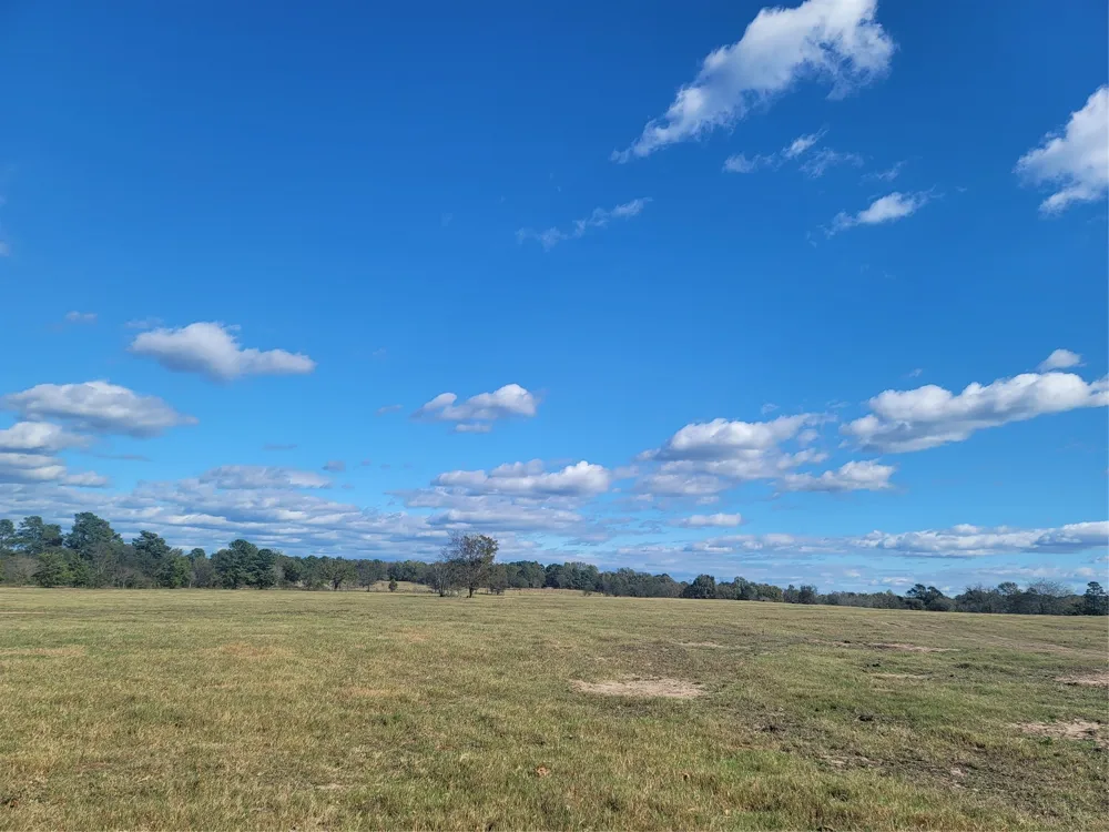 12403 FM 1975 #Parcel B Gilmer, TX 75644
