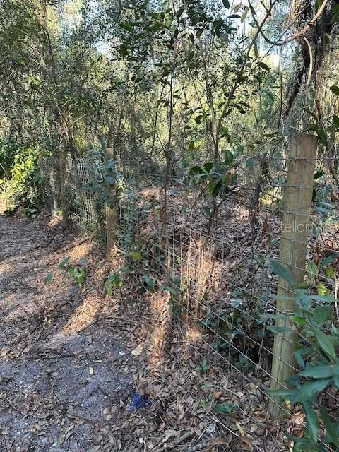 1918 MOUNTAIN LAKE CUTOFF ROAD Lake Wales, FL 33859