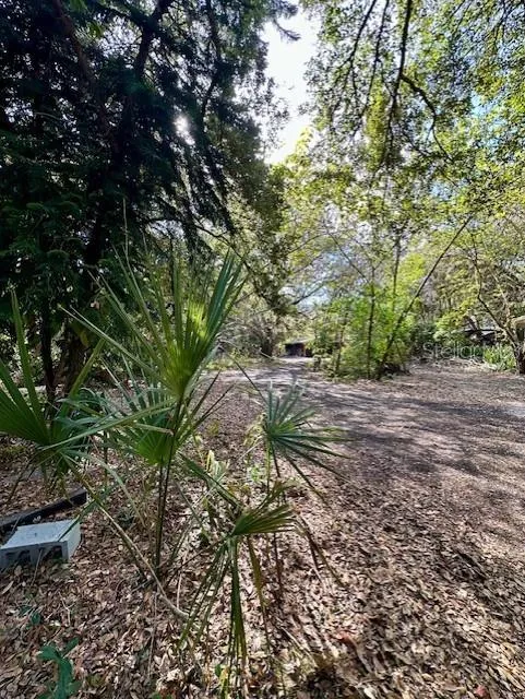 1918 MOUNTAIN LAKE CUTOFF ROAD Lake Wales, FL 33859