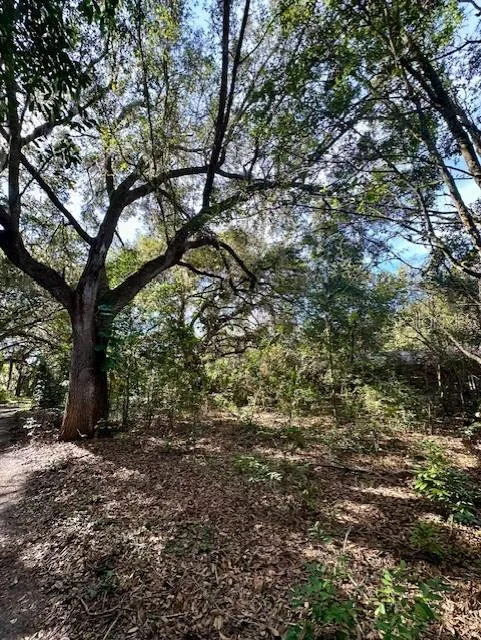 1918 MOUNTAIN LAKE CUTOFF ROAD Lake Wales, FL 33859