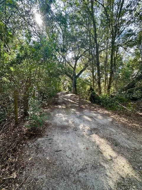 1918 MOUNTAIN LAKE CUTOFF ROAD Lake Wales, FL 33859