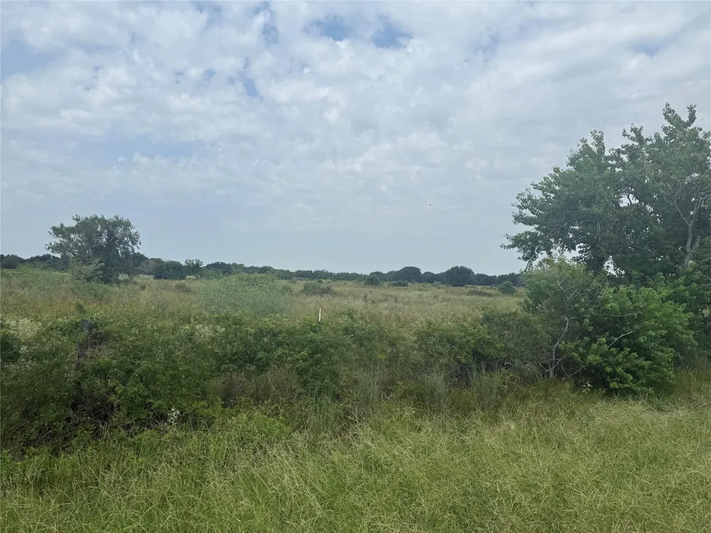 County Road 25 Damon, TX 77430