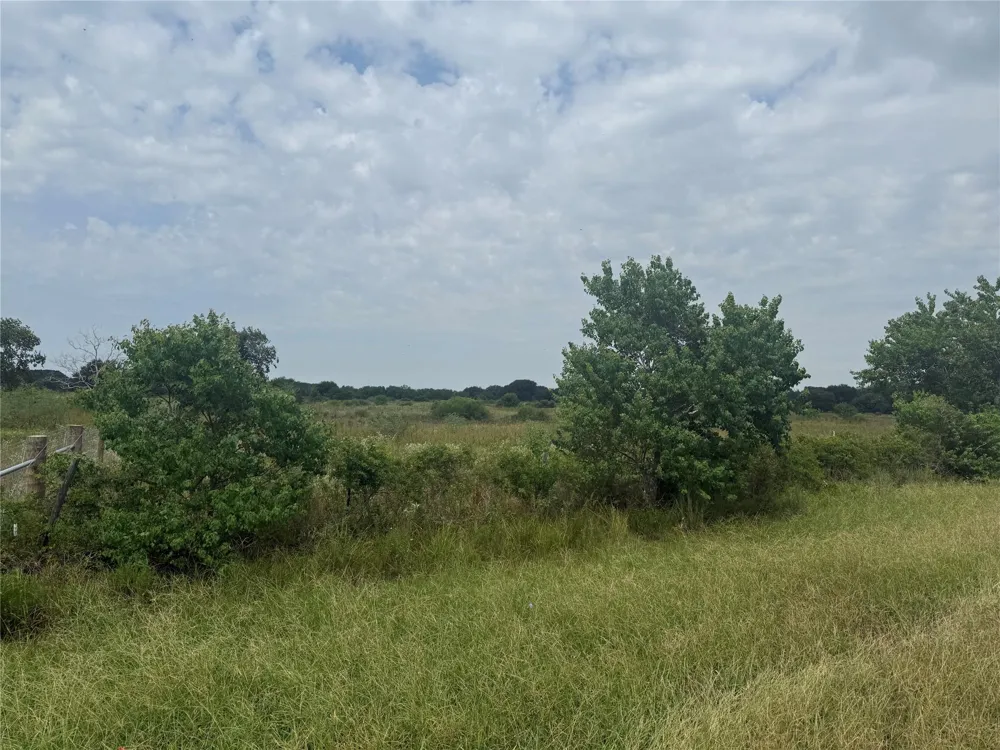 County Road 25 Damon, TX 77430
