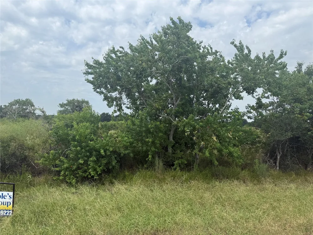 County Road 25 Damon, TX 77430