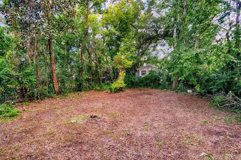 534 & 580 NW 7TH TERRACE Gainesville, FL 32601