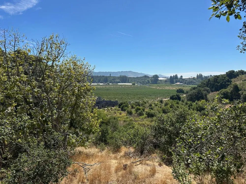 Sans Road Corralitos, CA 95076