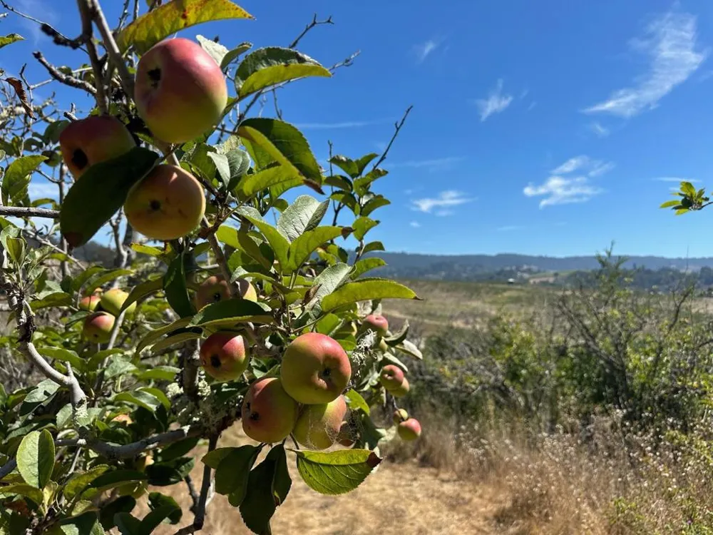 Sans Road Corralitos, CA 95076