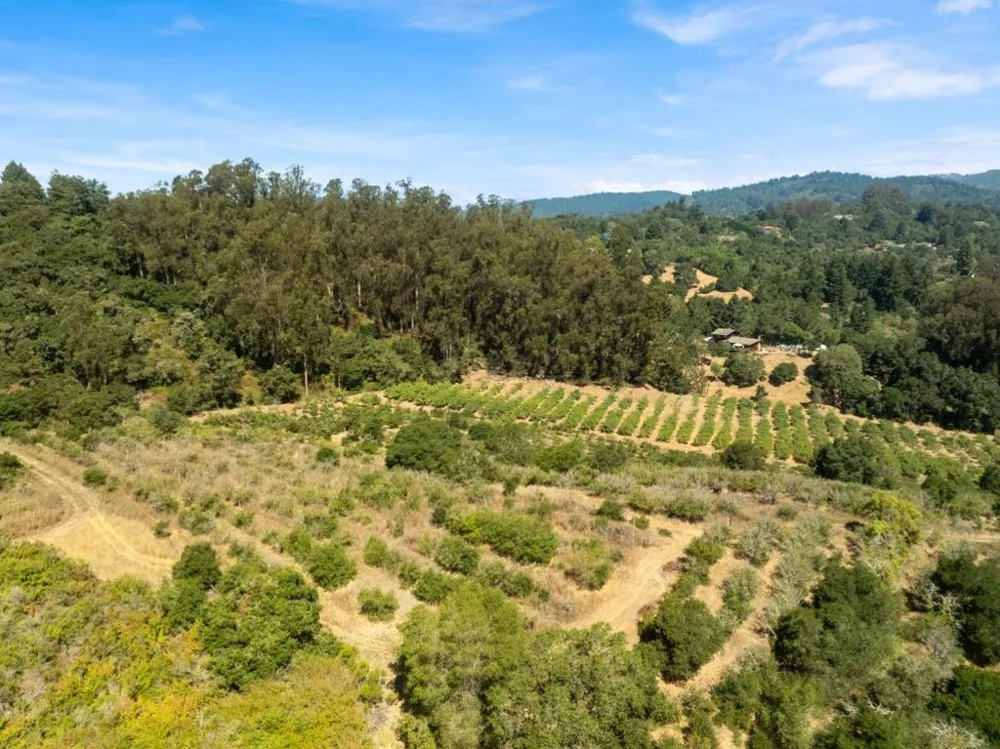 Sans Road Corralitos, CA 95076