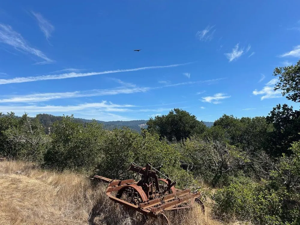 Sans Road Corralitos, CA 95076