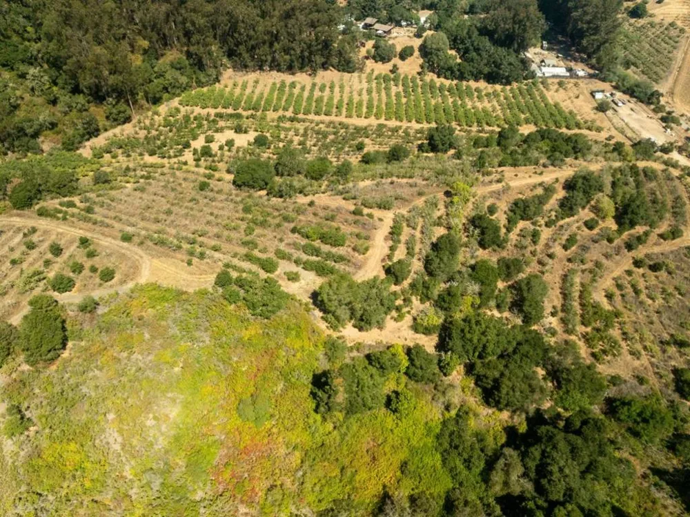 Sans Road Corralitos, CA 95076