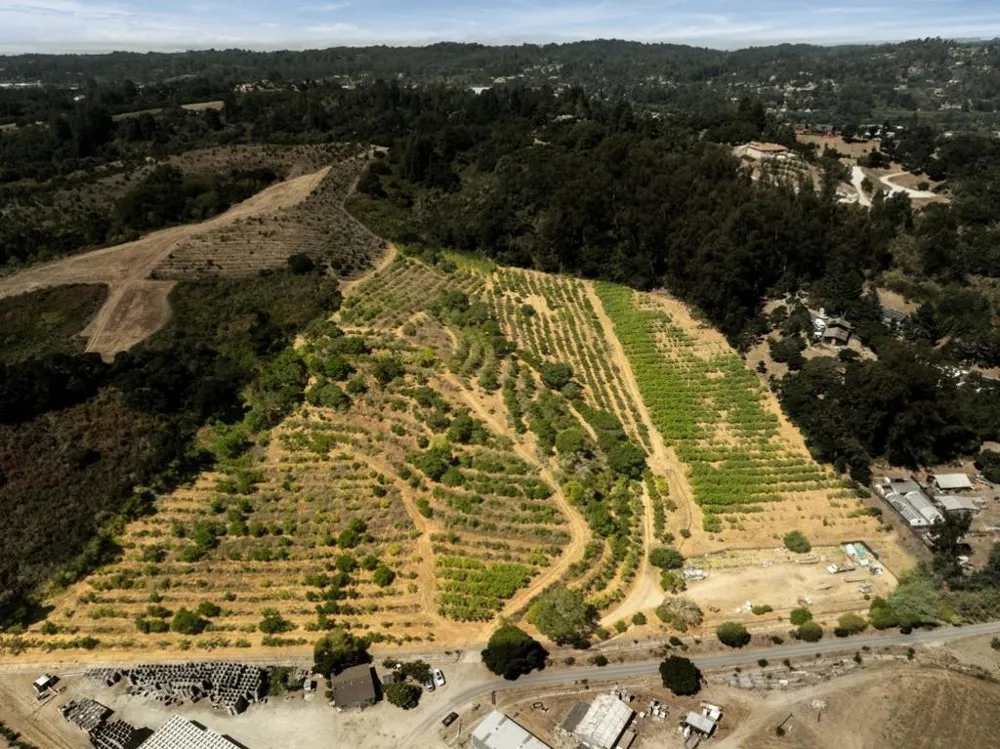 Sans Road Corralitos, CA 95076