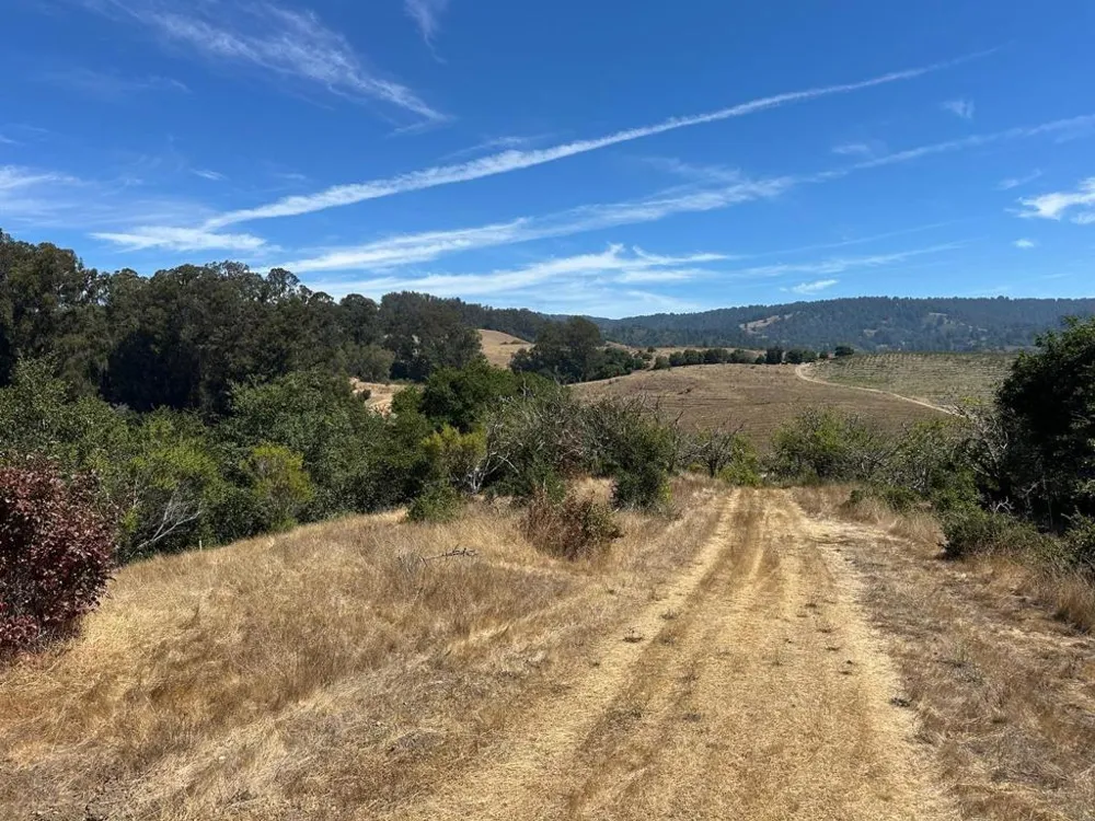 Sans Road Corralitos, CA 95076