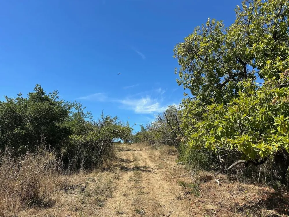 Sans Road Corralitos, CA 95076