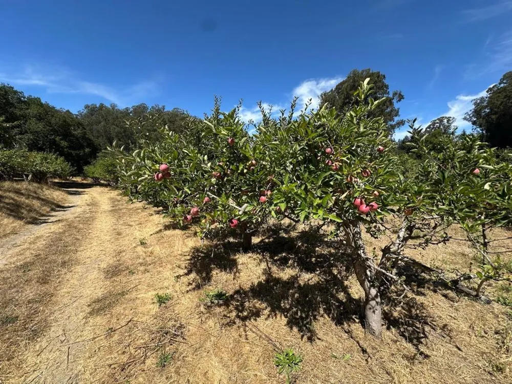 Sans Road Corralitos, CA 95076