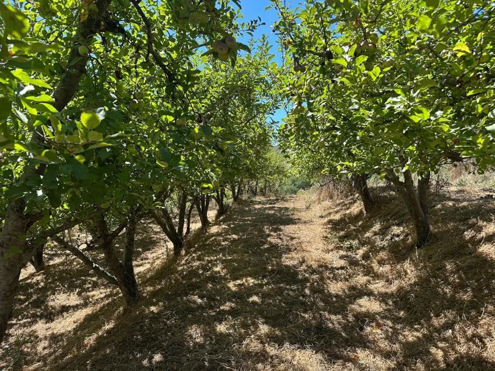 Sans Road Corralitos, CA 95076