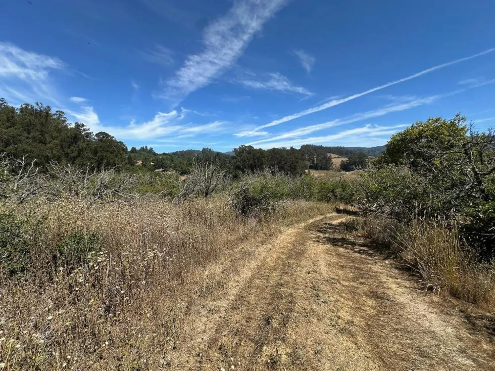 Sans Road Corralitos, CA 95076