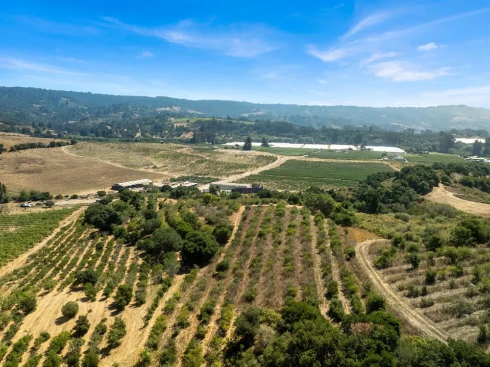 Sans Road Corralitos, CA 95076