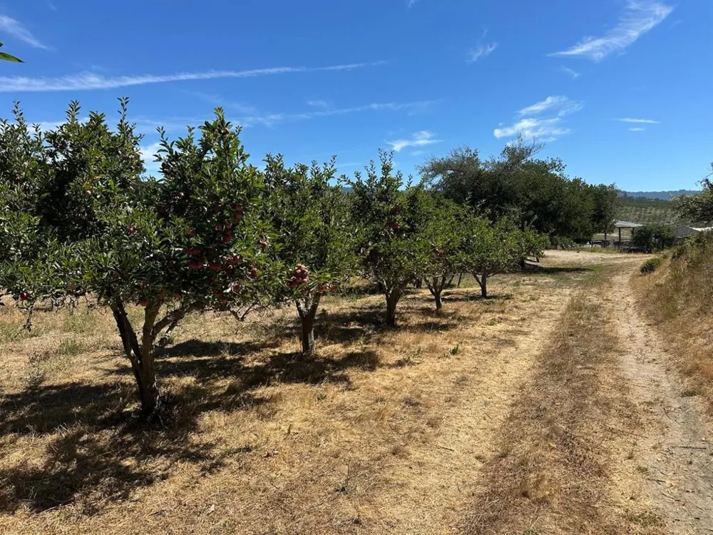 Sans Road Corralitos, CA 95076