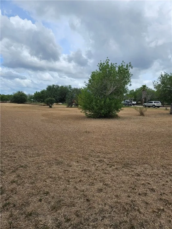 211 County Road 310 Orange Grove, TX 78372