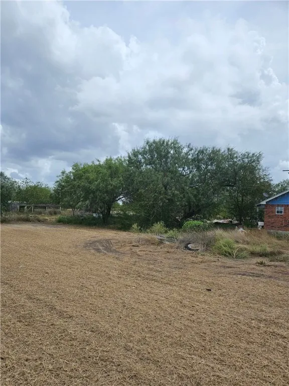 211 County Road 310 Orange Grove, TX 78372