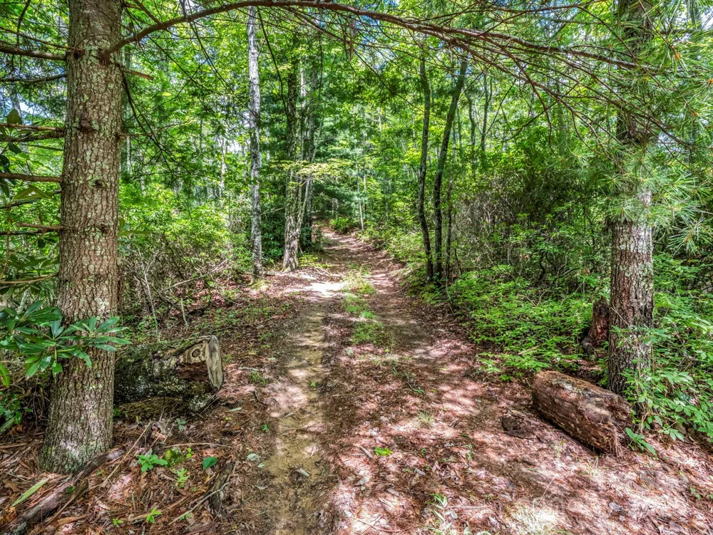 TBD Frozen Creek Road Brevard, NC 28712