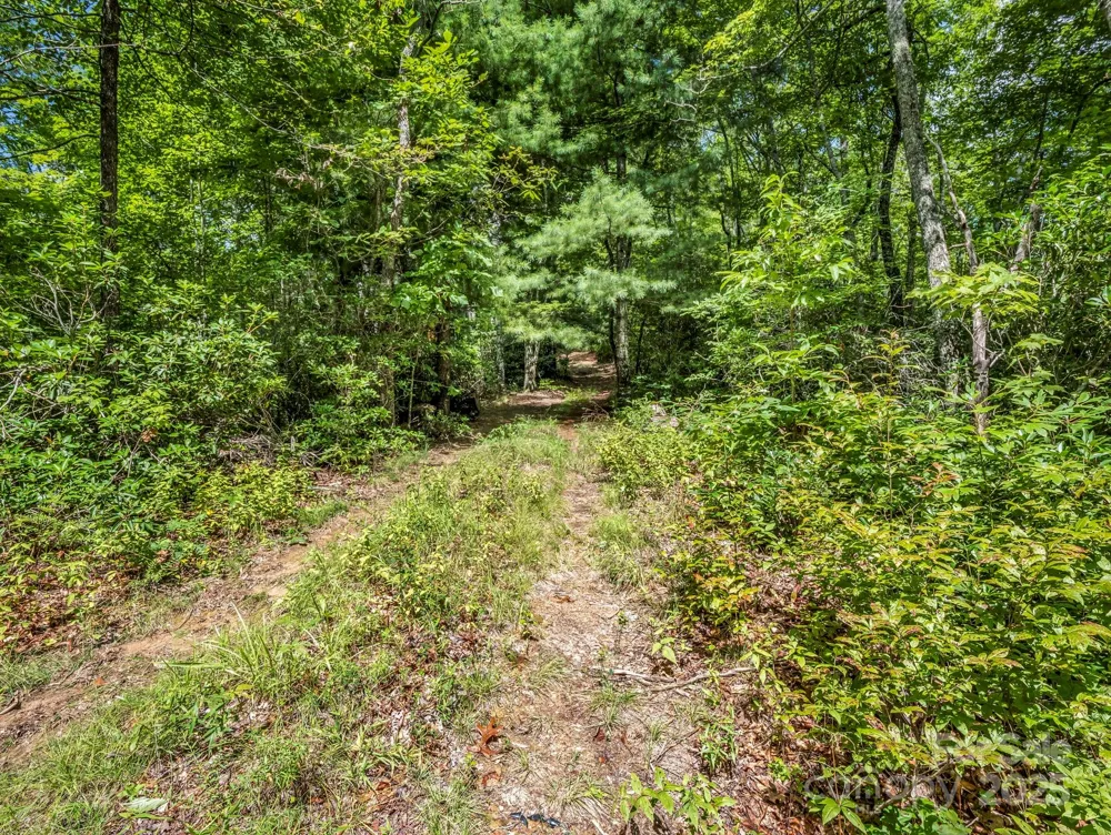 TBD Frozen Creek Road Brevard, NC 28712